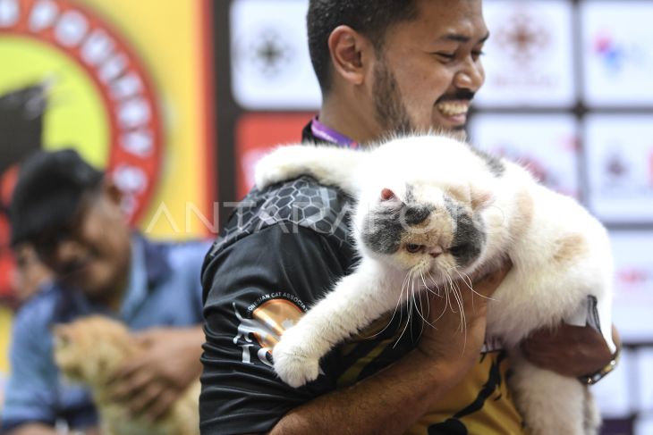 Kontes kucing di Samarinda