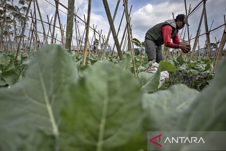 Struktur PDB Indonesia pada triwulan I 2025