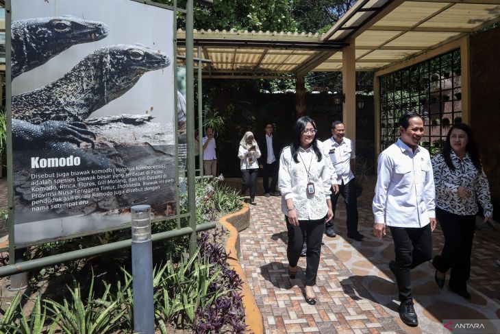Menteri Lingkungan Hidup tinjau Kebun Binatang Surabaya