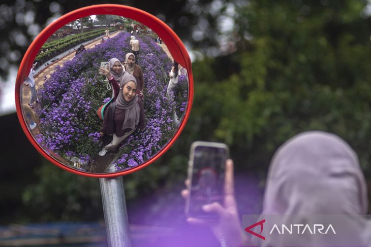 Wisata Bukit Strawberry Lembang saat libur panjang