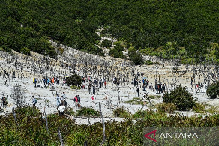 Wisata libur panjang Waisak di Gunung Papandayan