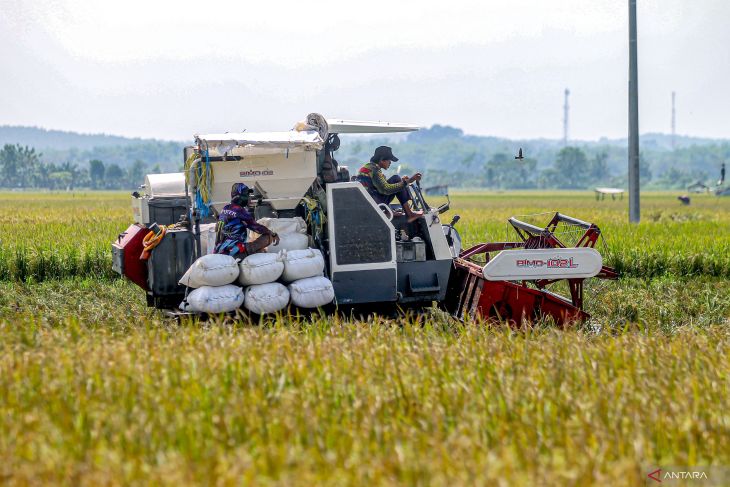 Capaian serapan gabah beras Bulog Jatim