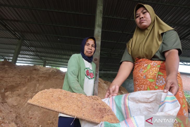 Biomassa jadi pilar ekonomi kerakyatan di NTB