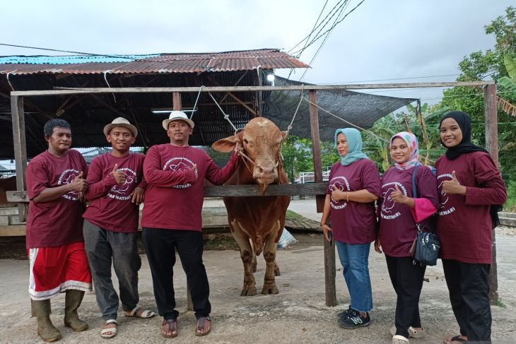 Sapi kurban warga Pontianak dibeli Presiden