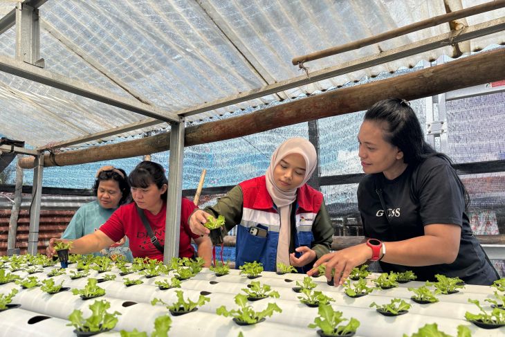 Pertamina berdayakan IRT wujudkan ketahanan pangan di Bitung