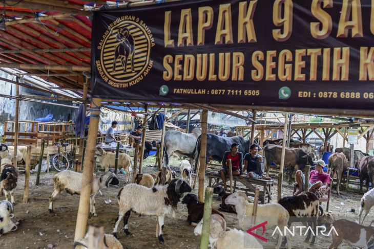 Baznas RI targetkan pengumpulan kurban 2025 mencapai 7.000 ekor