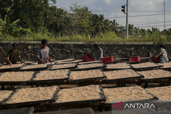 Upaya meningkatkan serapan udang nasional