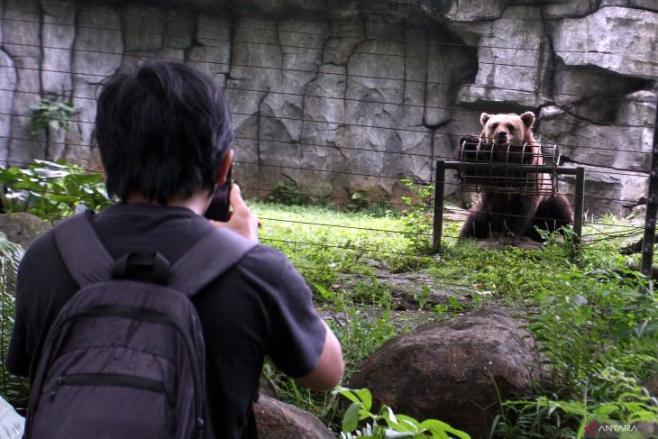 Rencana standarisasi tata kelola kebun binatang Indonesia
