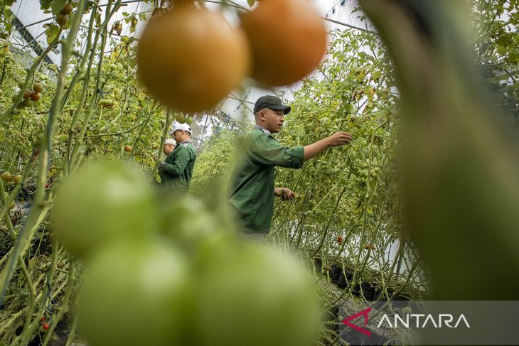Penerapan digitalisasi pertanian dengan IoT di SMK