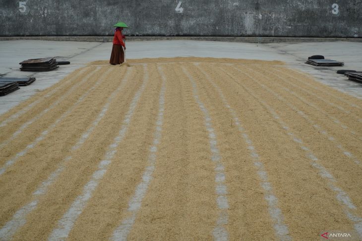 Komitmen pemerintah jaga harga GKP ditingkat petani