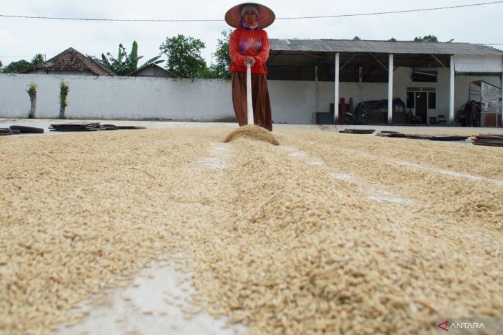 Komitmen pemerintah jaga harga GKP ditingkat petani