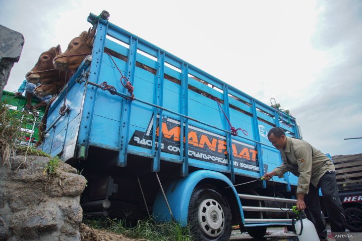 Kewaspadaan PHMS jelang Idul Adha