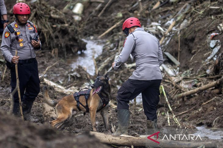 Pencarian korban bencana tanah longsor di Lembang
