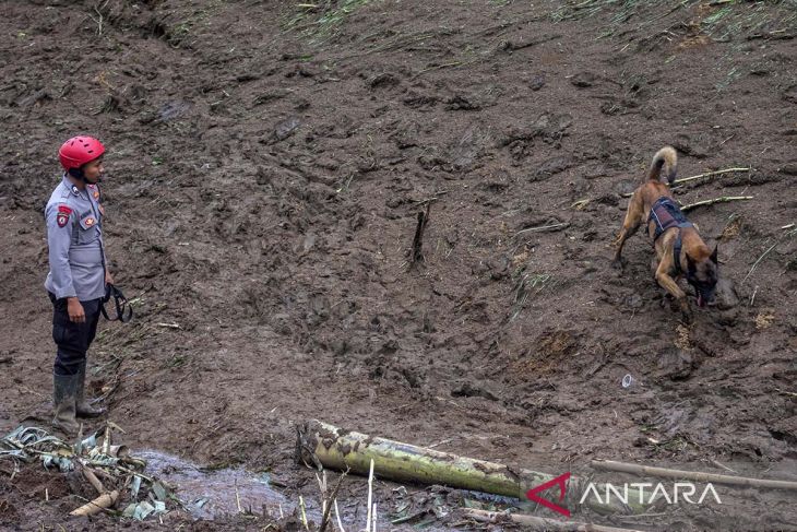Pencarian korban bencana tanah longsor di Lembang