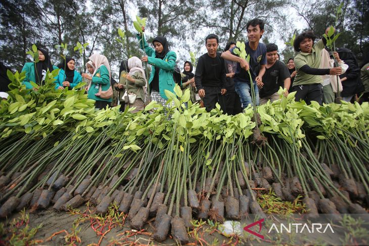 FOTO - Gerakan tanam manggrove di Aceh Besar