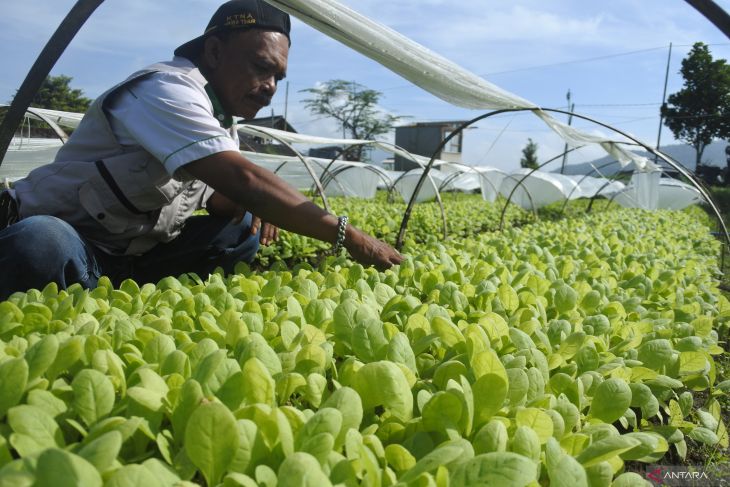 Pekerja sektor tembakau