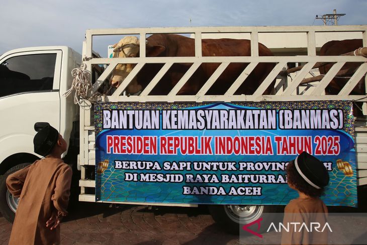 FOTO - Gubernur Aceh serahkan sapi kurban bantuan Presiden
