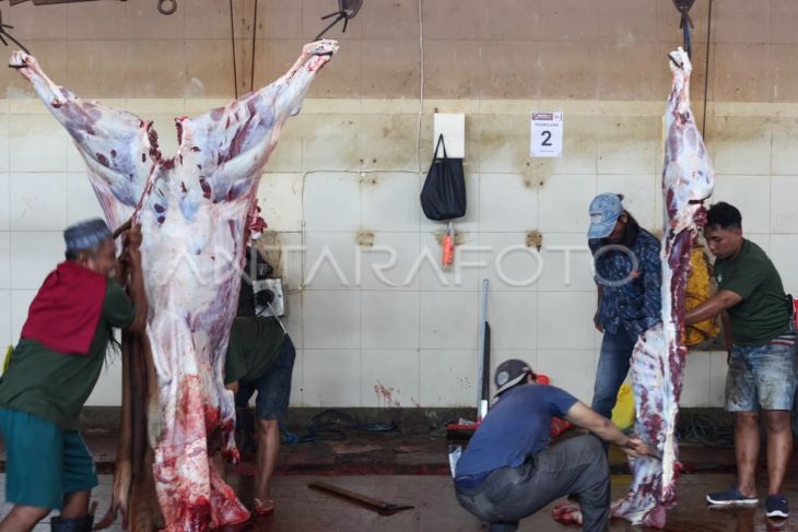 Simak kiat menikmati daging kurban sehat dan bebas kolesterol
