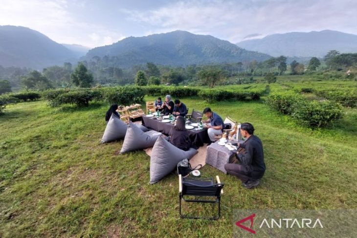 Menikmati hangatnya teh di tengah perkebunan ala Plataran Puncak