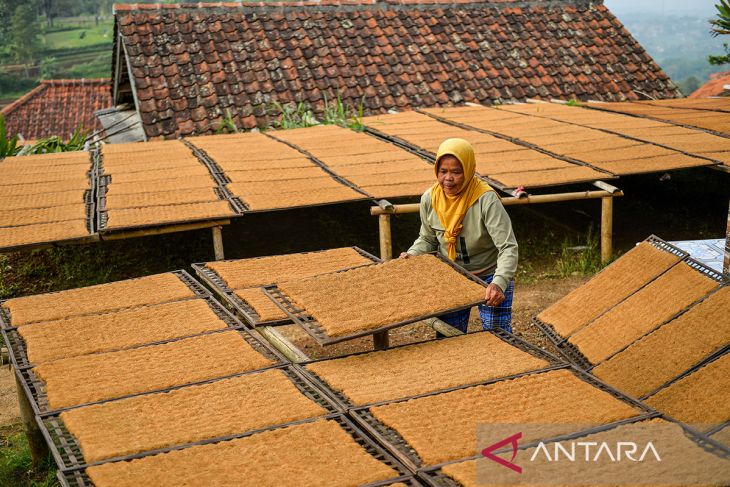 Harga tembakau di Sumedang turun