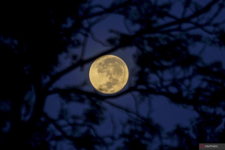 Fenomena Strawberry Moon di Malang