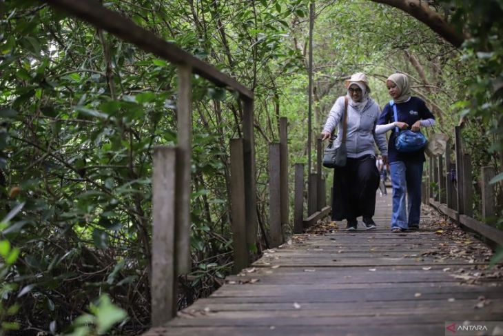 Ekowisata Banyuurip Mangrove Center di Gresik