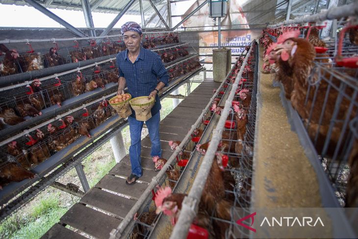 Pemanfaatan dana desa untuk ketahanan pangan