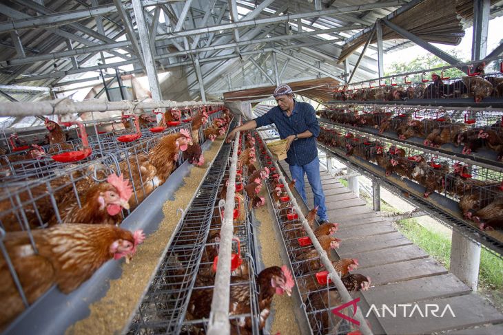 Pemanfaatan dana desa untuk ketahanan pangan