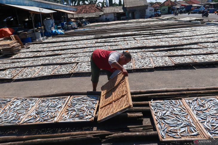 Industri pengolahan ikan asin kesulitan bahan baku