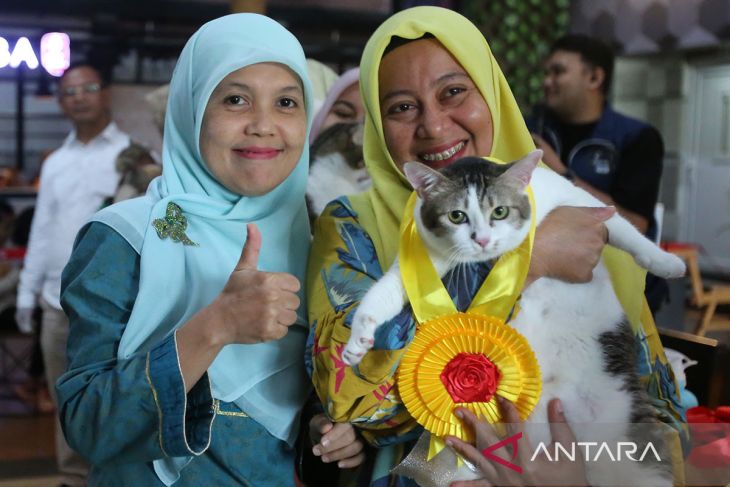 FOTO - Lomba kucing tampan dan cantik di Aceh