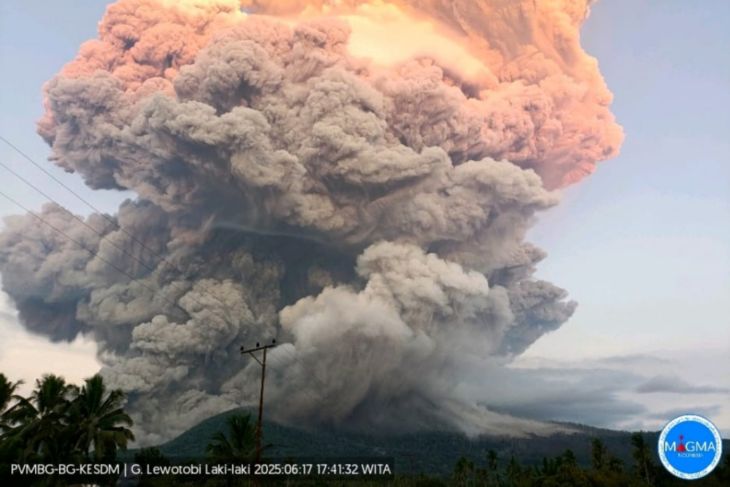 BNPB: Tak ada korban jiwa akibat erupsi Gunung Lewotobi Laki-laki