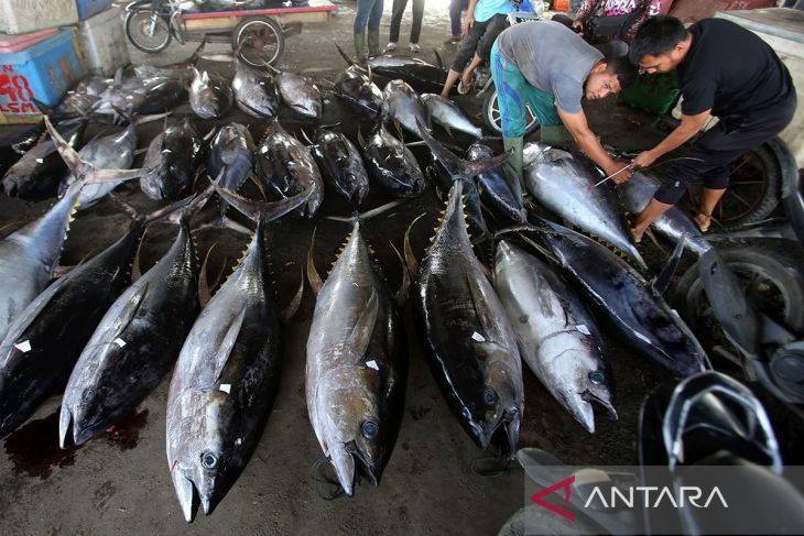 FOTO - Harga ikan terdampak cuaca buruk di Aceh