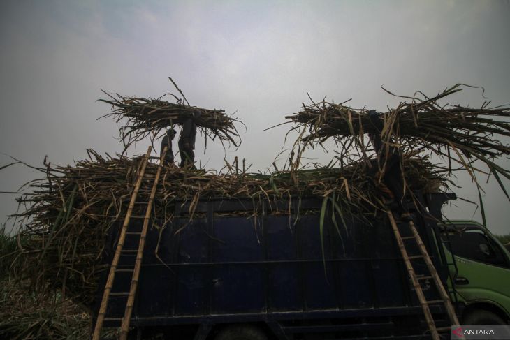 Target produksi gula Jawa Timur