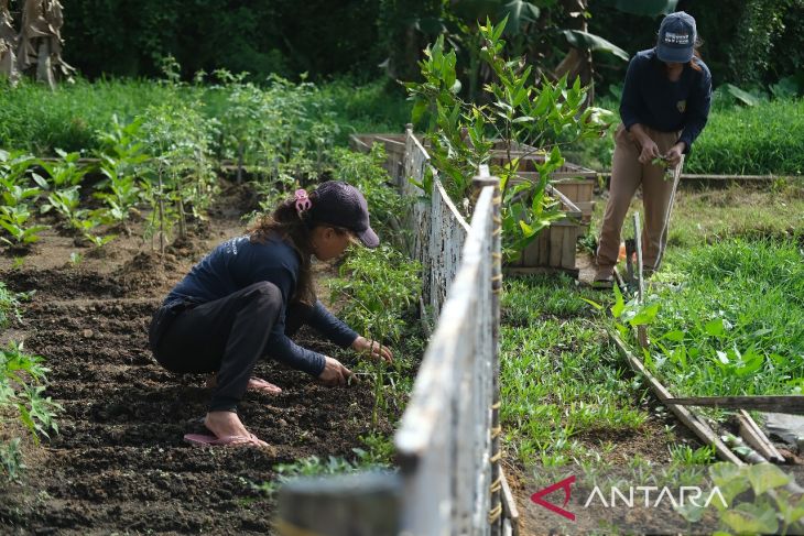 Pembinaan keterampilan kerja WBP di Lapas Perempuan