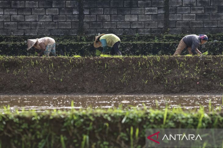 Nilai tukar petani Banten Juni 2025