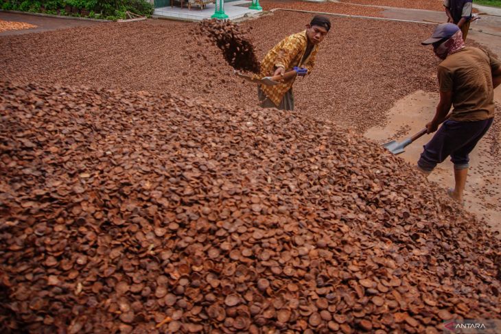 Potensi ekspor pinang hutan produksi Gunung Lemongan