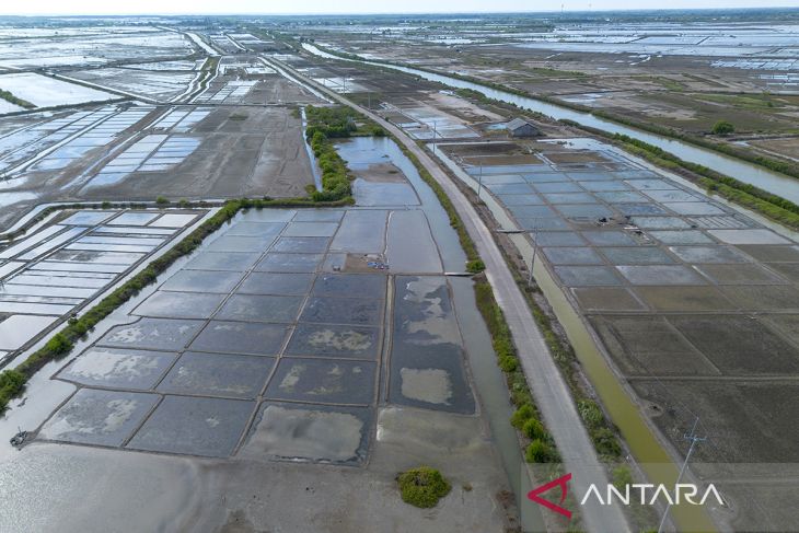 Produksi garam tertunda akibat cuaca