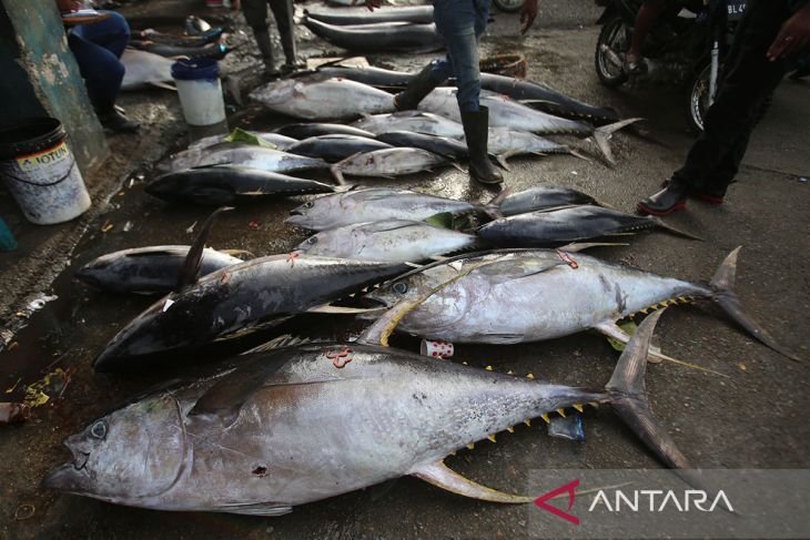 FOTO - Target produksi perikanan nasional
