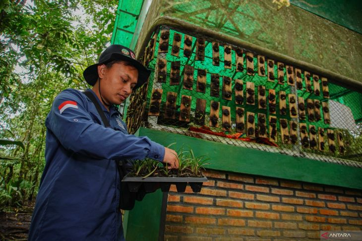 Wisata minat khusus Ranu Darungan di kawasan TNBTS