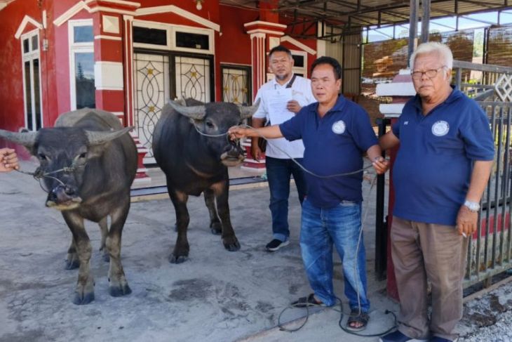 Regal Springs Indonesia dukung budaya lokal di Ajibata, ini partisipasinya