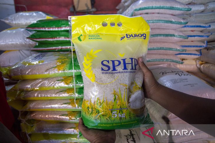 Sidak penyaluran beras SPHP