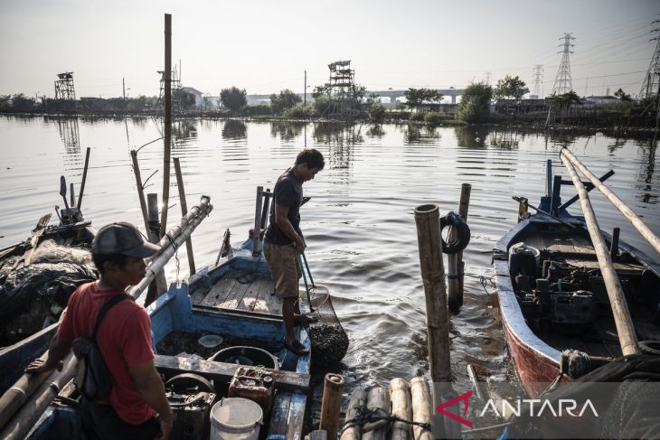 Ekowisata mangrove di Tambakrejo, upaya Semarang jaga pesisir dan dorong ekonomi warga
