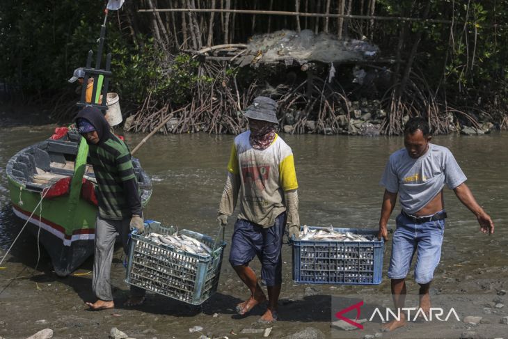 Realisasi investasi sektor kelautan dan perikanan triwulan I 2025