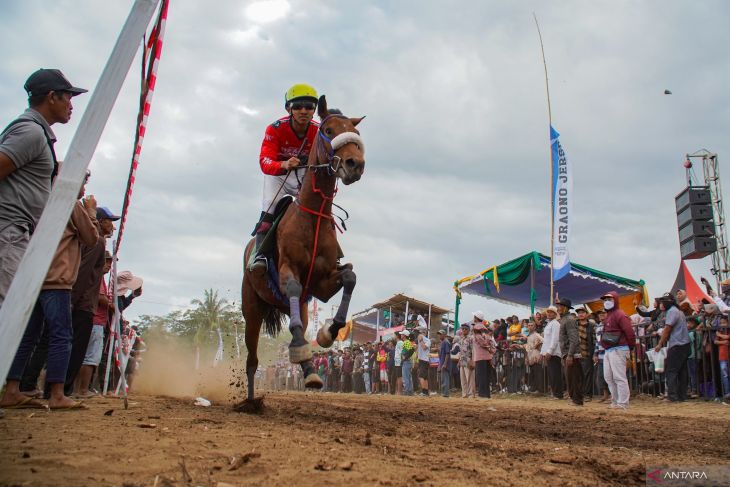 Kejuaraan pacuan kuda di Lumajang
