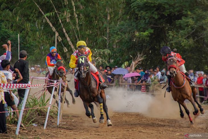 Kejuaraan pacuan kuda di Lumajang
