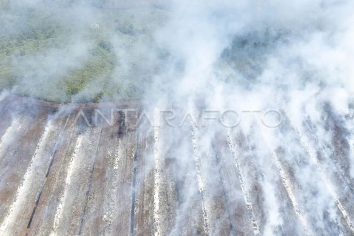 Karhutla di Muaro Jambi meluas