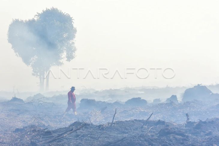 Karhutla di Muaro Jambi meluas