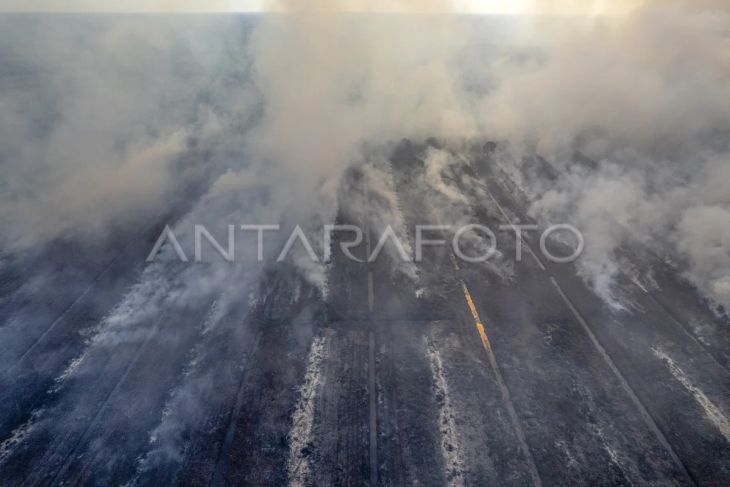 Karhutla di Muaro Jambi