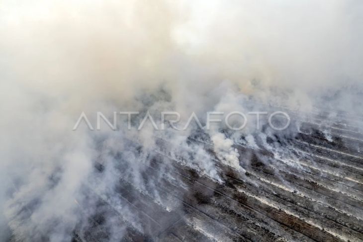 Karhutla di Muaro Jambi