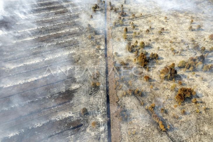 Karhutla di Muaro Jambi